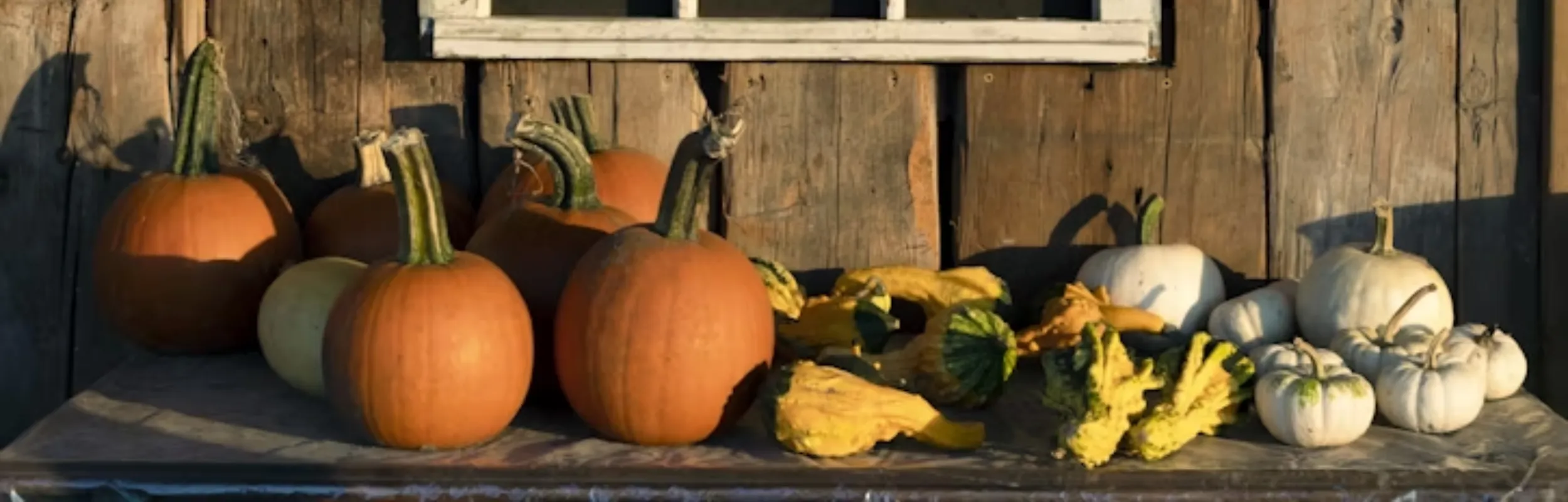 Gourmet autumn cuisine: truffles, chestnuts, and seasonal flavors